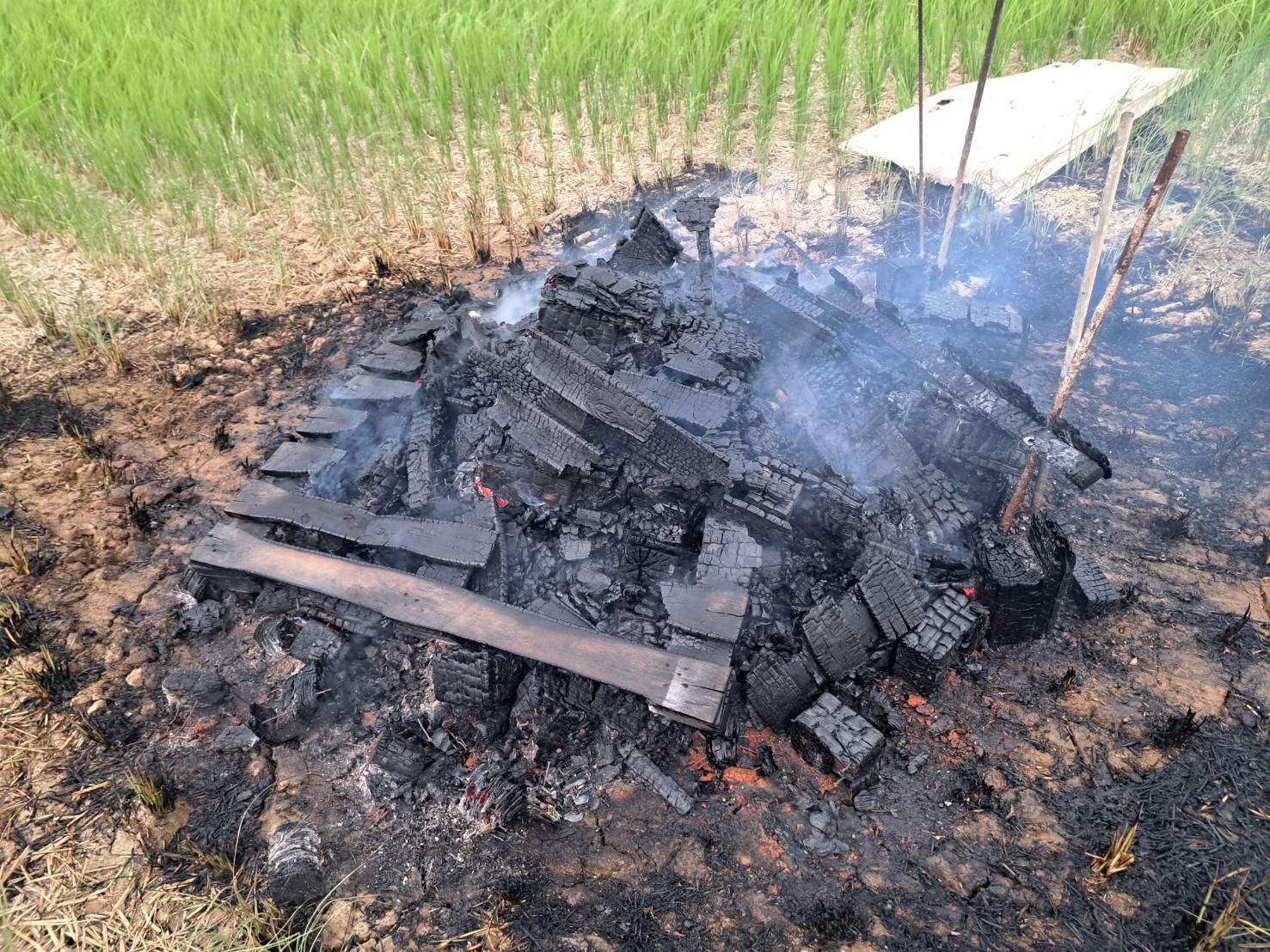 露天燃燒稻草污染空氣最高